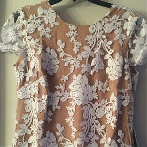 Dress the Population Lace Dress